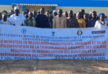 Blitta : Vers une meilleure gestion de la transhumance.