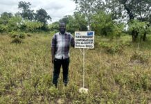 Un projet de reboisement pour compenser la centrale solaire de Blitta